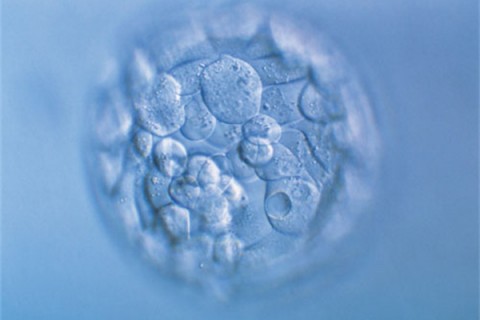 http://taizhou.huochezhan.net/post/200.html|台州新闻中心