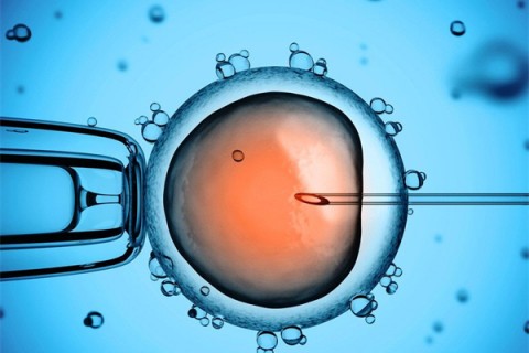 http://taizhou.huochezhan.net/post/199.html|台州供卵助孕